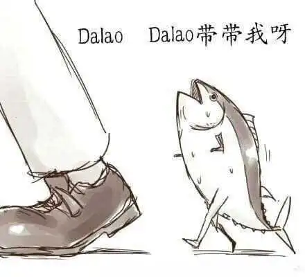 西檬之家K8是什么?字母圈新人必看的猫系身份解析 一