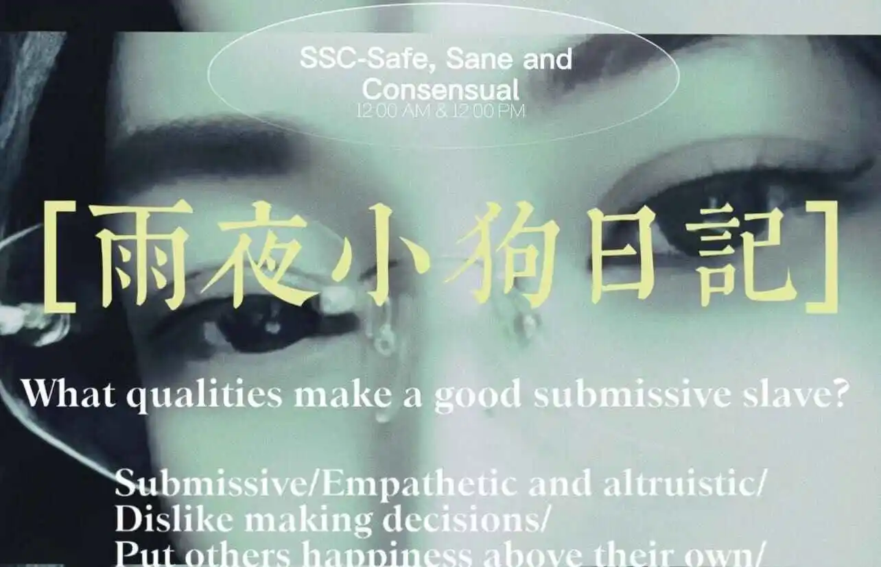 西檬之家K9是什么?你的字母圈属性 一