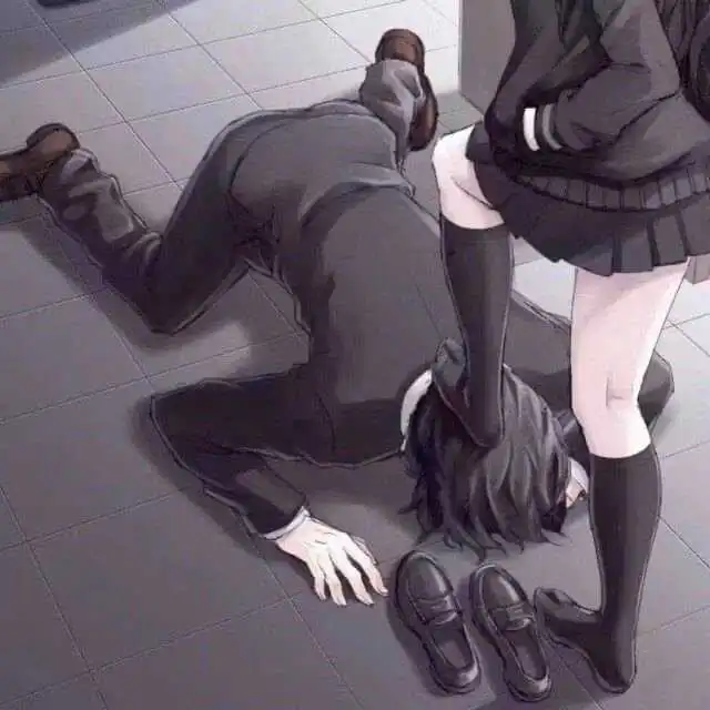 西檬之家s属性是什么意思? 一