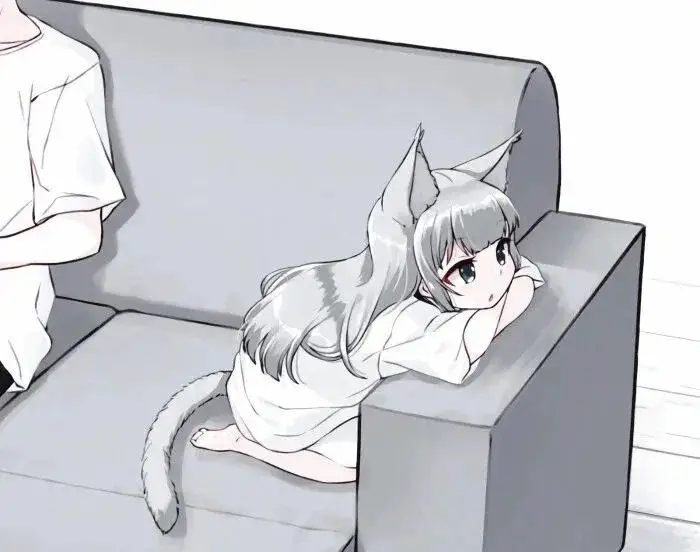 西檬之家K8猫系是什么?字母圈新人如何识别与相处? 一