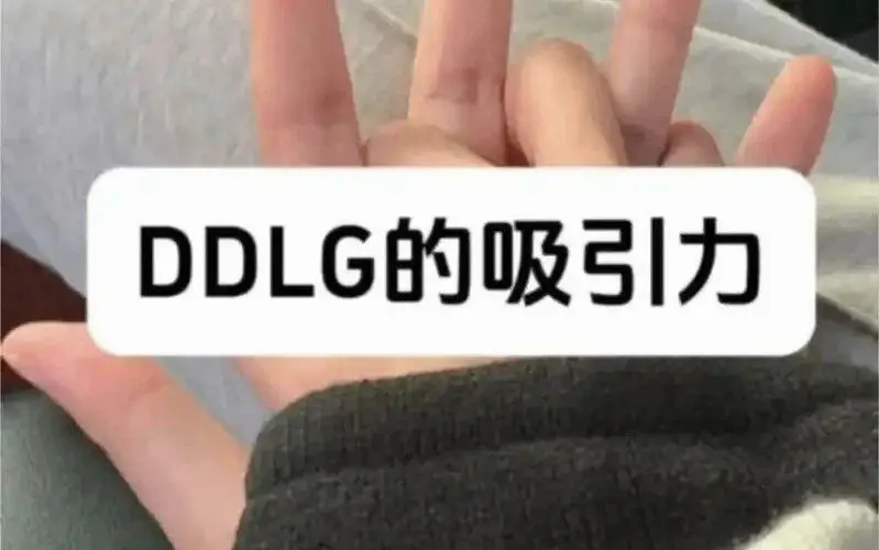 西檬之家k9是什么?深度解析字母圈犬系属性 一