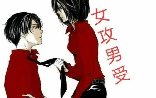 西檬之家s属性是什么意思? 一